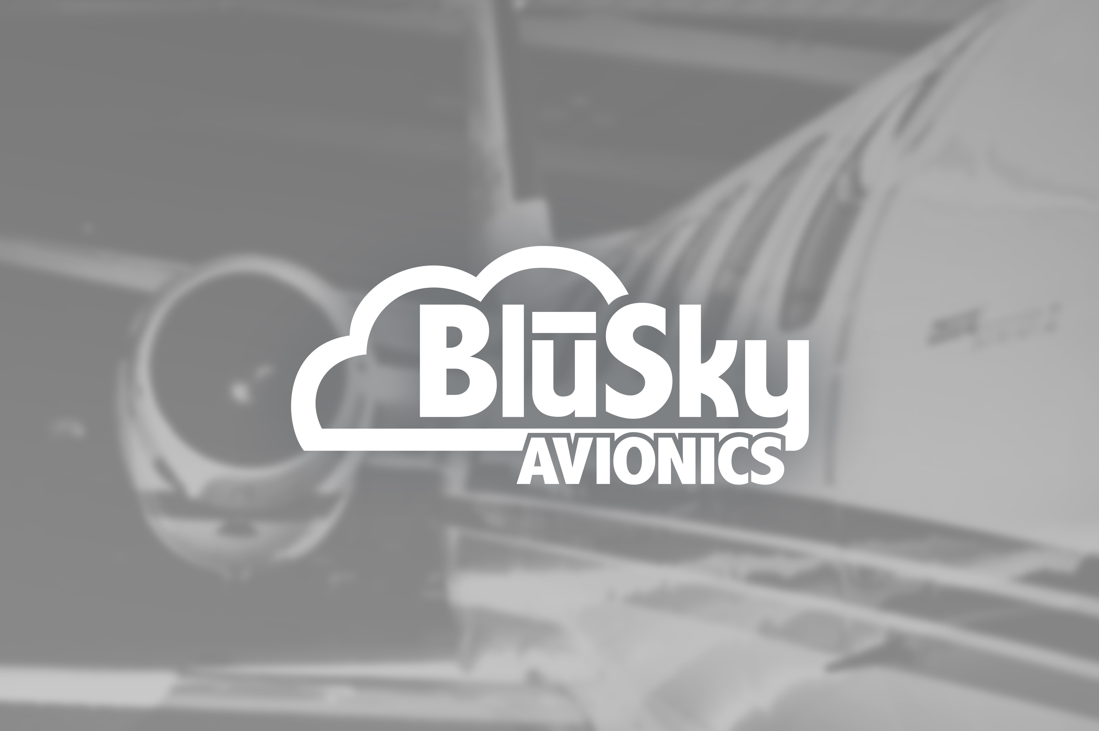 Logo – Blusky Avionics